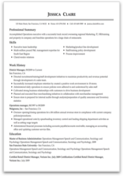 Business Development resume example