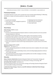 executive  resume sample