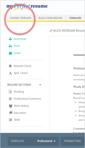 professional resume templates 1